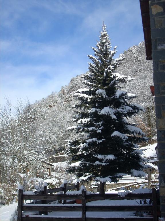 Hotel Vina Olivan Sarvise Bagian luar foto