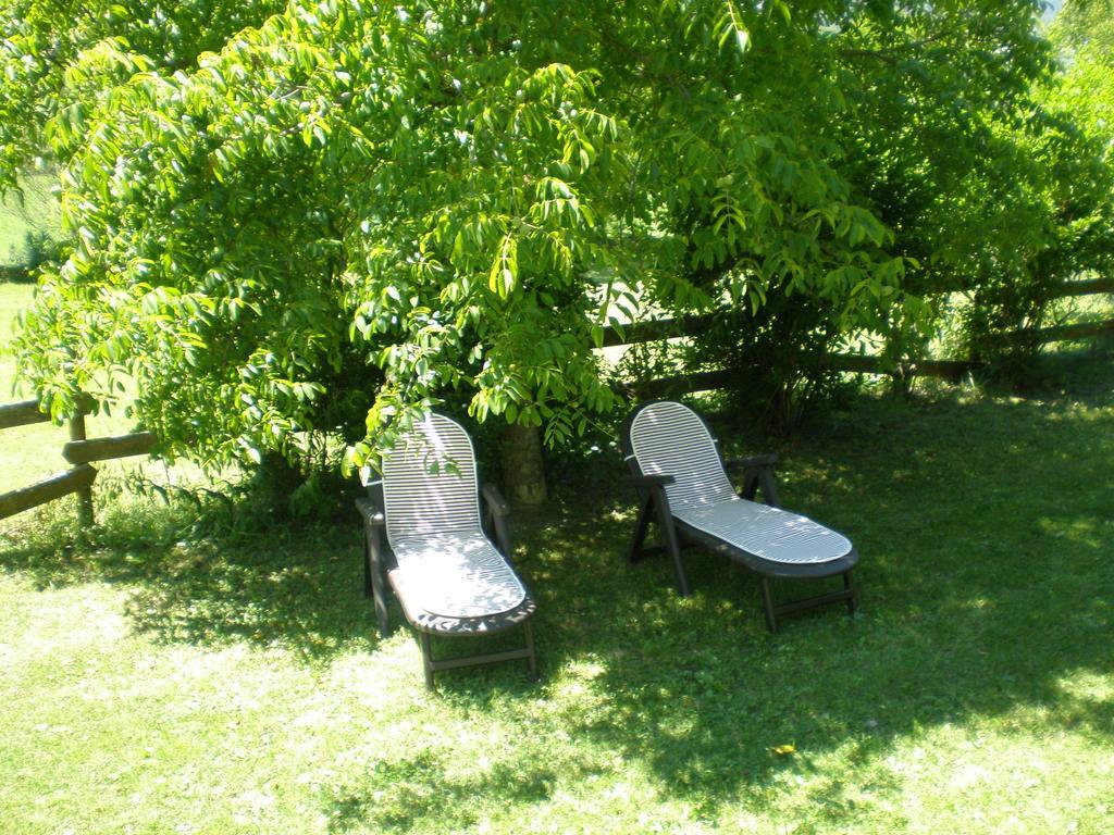 Hotel Vina Olivan Sarvise Bagian luar foto
