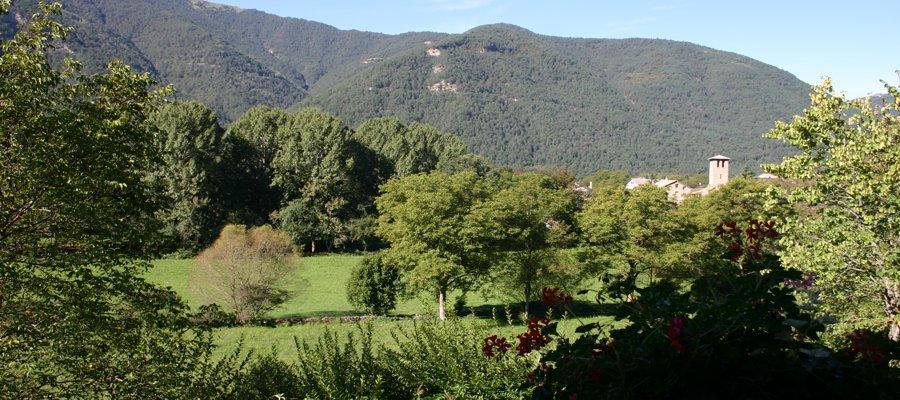 Hotel Vina Olivan Sarvise Bagian luar foto