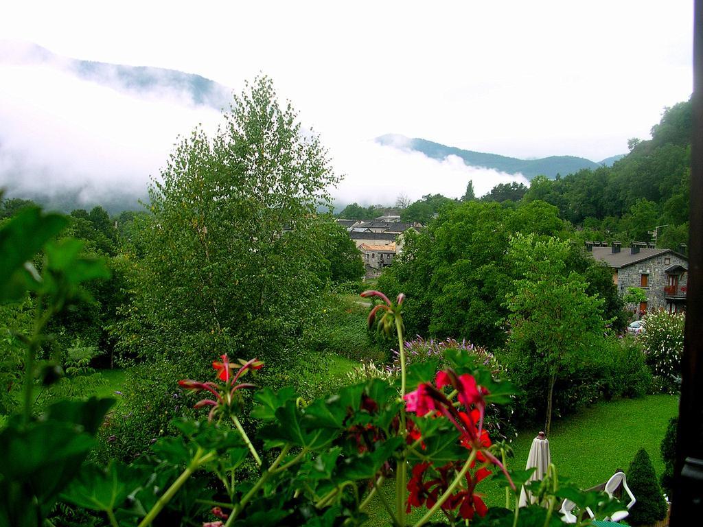 Hotel Vina Olivan Sarvise Ruang foto